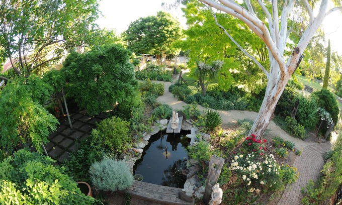 North Tamworth Bed & Breakfast | Eco-Friendly Retreat at Froog-Moore Park: Guest Rated 9.8