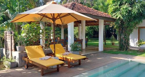 Mirissa House | Discover The Secret Guesthouse: Family-Friendly Retreat