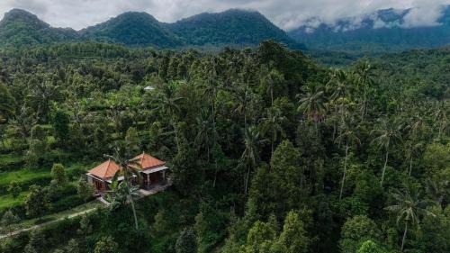 Sawan Villa | The Sekumpul Villa