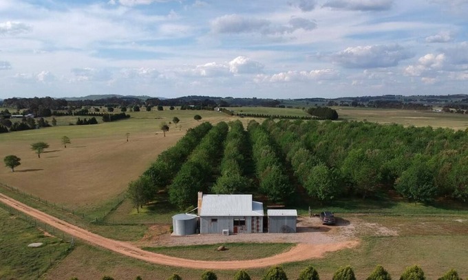 Millthorpe Apartment | Tranquil Retreat for Two on a Scenic Truffle Farm