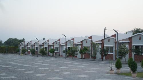 Indore Hotel | Pet-Friendly Bliss at The Sky Imperial Sethji Ni Wadi