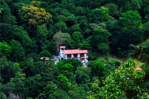 Yatinuwara Hotel | Discover The Springfields Kandy: Top-Rated Family Retreat