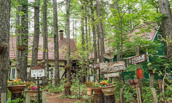 Nakasatsunai House | Cozy Stay at The Squirrel's Guesthouse in Canterbury