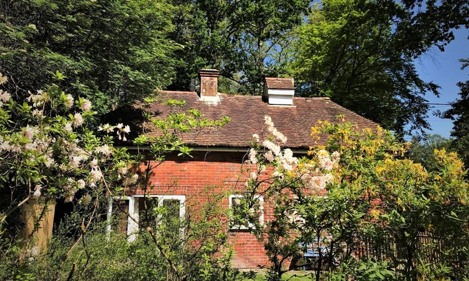 New Forest District Cottage | Idyllic Squirrels Cottage in New Forest National Park
