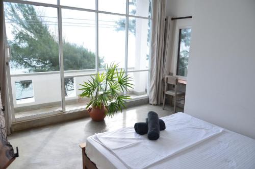 Midigama East Hotel | Oceanfront Retreat at The Stables Hotel Midigama - Rated 8.9