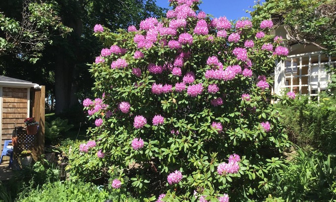 Wolfville Bed & Breakfast | Experience The Stella Rose B&B: 4-Star Spa Retreat