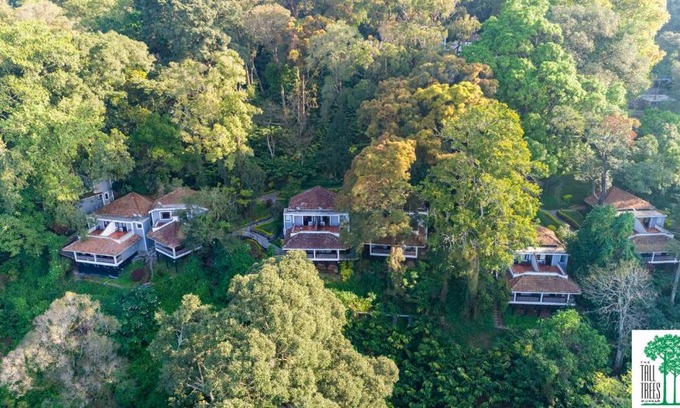 Devikolam Resort | Inviting Getaway at The Tall Trees with Spa & Dining