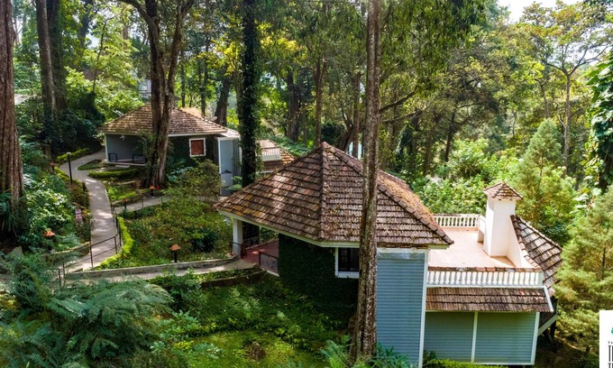 Munnar Hotel | Discover The Tall Trees Munnar - Rated 8.8/10, Family-Friendly