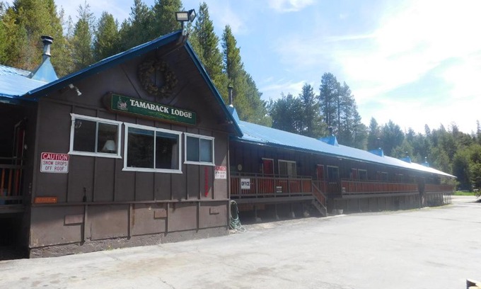 Big Creek Cabin | Cozy Stay at The Tamarack Lodge with Pet-Friendly Comfort