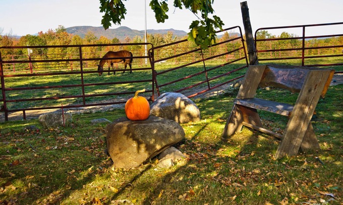 Sumner Other | Discover The Tortoise and The Mare: Relax or Adventure Awaits!