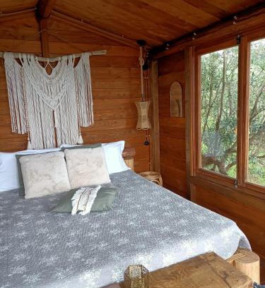 Falerna Bed & Breakfast | Discover The Treehouse: Pet-Friendly Retreat with Pool