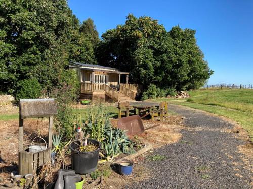 Ohauiti House | Unforgettable Stays at The Treehut: Pet Friendly & Accessible