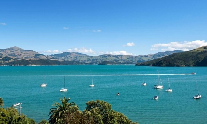 Akaroa House | Experience The Treehut: Nature Retreat with Pool & Breakfast