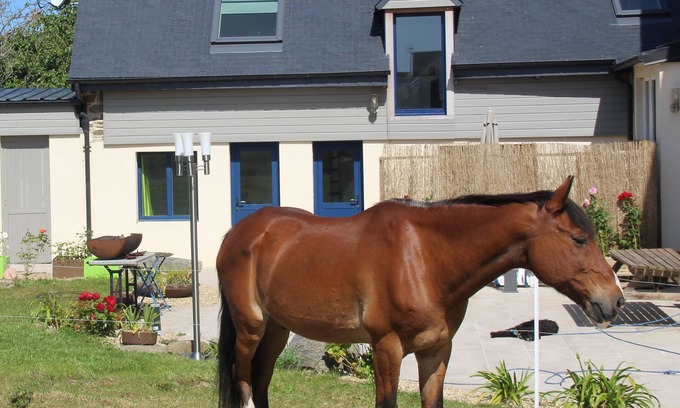 Binic-Etables-sur-Mer House | Beachside Maisonette Retreat for 4 with Pool & Ocean View