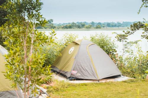 Vikarabad Hotel | Discover The Wilderness Campsite with Family-Friendly Amenities