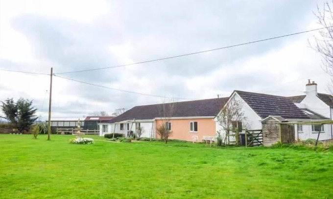 Felton House | Discover The Willows: Pet-Friendly Retreat with Pool