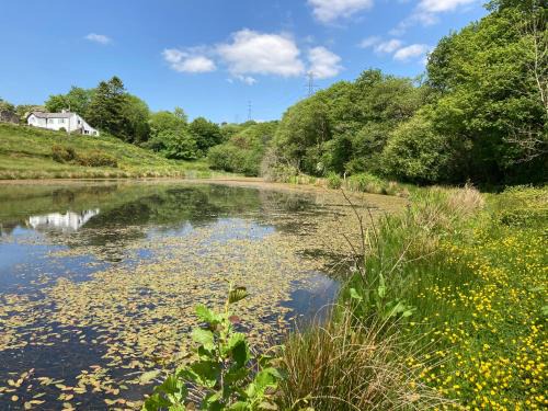 Mawr Apartment | Family-Friendly Retreat at The Wrens Nest - Rated 9/10