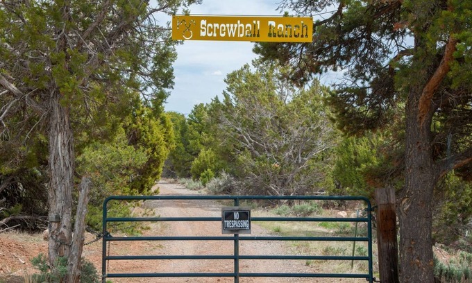 Cedaredge Cabin | Pet-Friendly Getaway: The YURT at Screwball Ranch