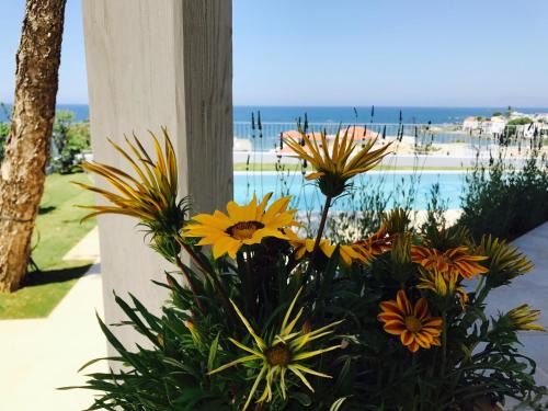 Kato Galatas Villa | Experience Thea Thalassa: Oceanfront 4-Star Getaway