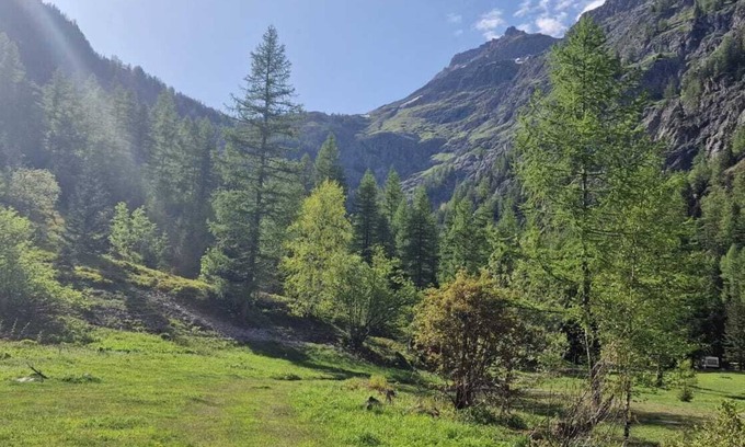 Salvan Cabin | Experience Thelynx.ch: Cozy Dome Retreat in the Alps