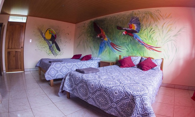 La Tigra House | Unique Birds Suite Surrounded by Authentic Rainforest