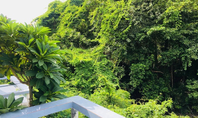 Song Phi Nong House | Family-Friendly Stays at The Wkang Hotel Await You