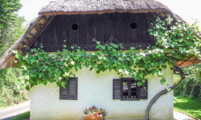 Neumarkt an der Raab House | This thatched farmhouse, built in adobe, was called the 1st studio house of an artists' village.