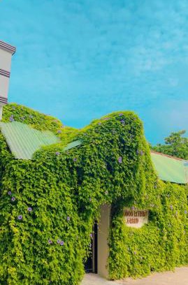 Thoddoo Hotel | Thoddoo Retreat Grand: Ocean View & Private Beach Access