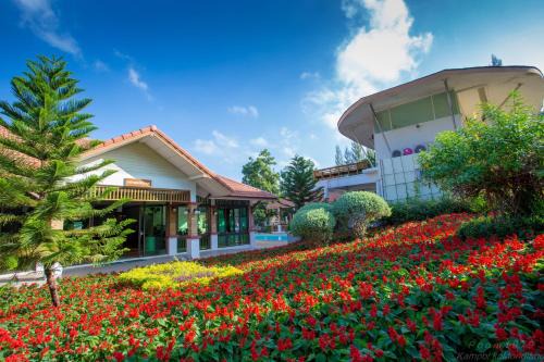 Nong Nam Daeng Resort | Relaxing Family Retreat at Thongsathit Hill Resort Khao Yai