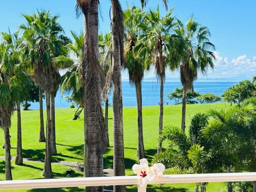 Gros Raisins Apartment | Scenic Oceanfront TI COCOTIER Appartement for Up to 6 Guests
