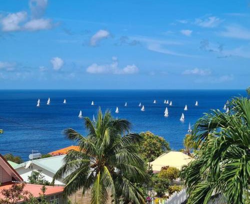 Le Carbet House | Discover Ti Sicriers Carbet: Family and Pet Friendly Stay