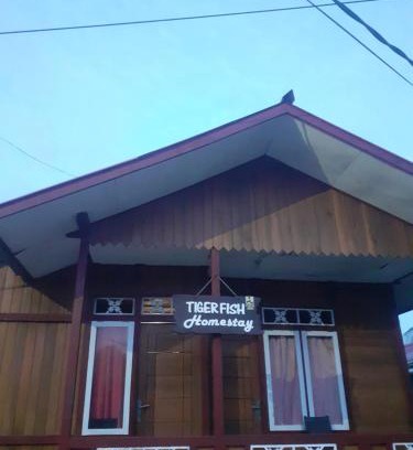 Bunaken House | Unforgettable Stay at Tiger Fish Homestay with Ocean Views