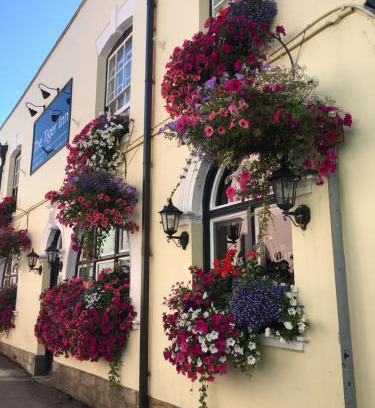 Bridport Hotel | Tiger Inn: Family-Friendly Retreat with Breakfast Included
