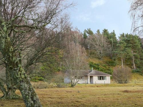 Alvie House | Discover Tigh An Tearlach: Family & Pet-Friendly Retreat