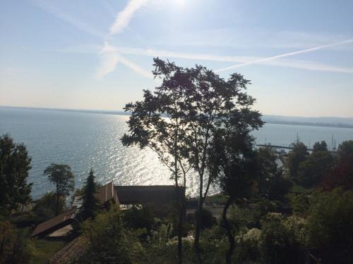 Tihany Apartment | Experience TIHANY: Central Hotel with Wellness & Beach Access
