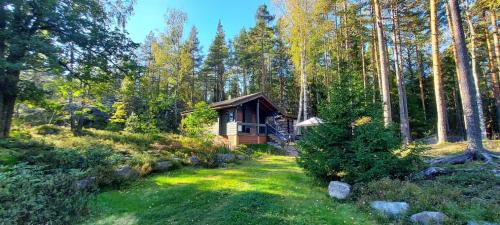 Haukilahti Other | Tilava omakotitalo kodikkaalla ilmapiirillä