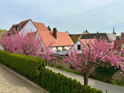 Herzogenaurach Apartment | Highly Rated Apartments Kastanienbaum for Your Getaway