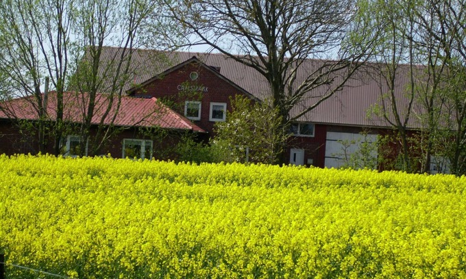 Aventoft Apartment | Unwind in Nordfriesland: Guest Rated 10/10 Getaway