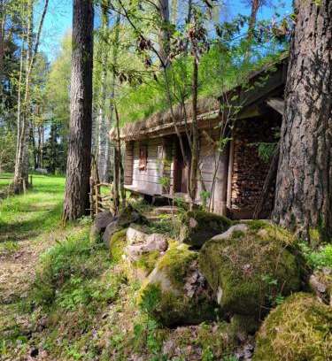 Tibro House | Timmerstugan i skogen