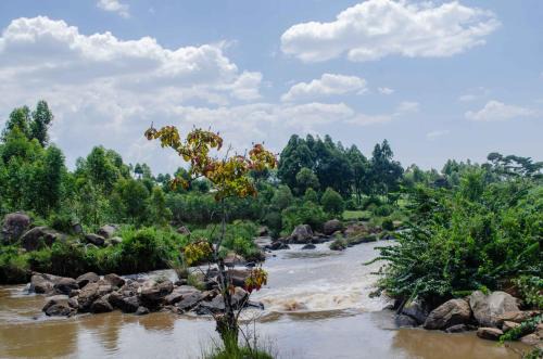 Kapsabet Hotel | Tindinyo Falls Resort