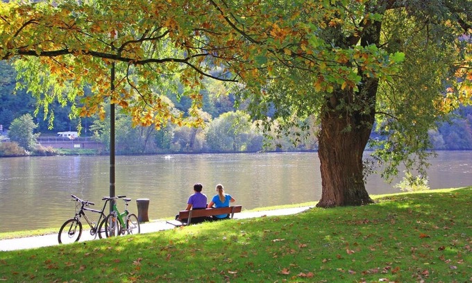 Wertheim Apartment | Top-Rated Apartment in Wertheim am Main - Pet Friendly Stay