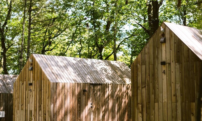 Catskill Cabin | Cozy Cabin in the Woods: Pet Friendly & Family Ready