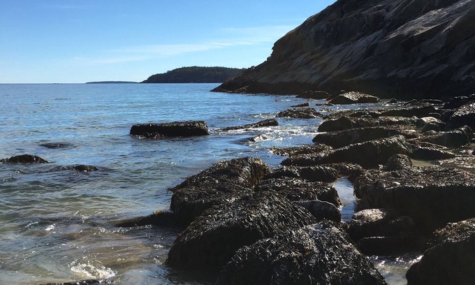 Southwest Harbor Cabin | Cozy Tiny Home Cabin Steps from Acadia's Best Attractions