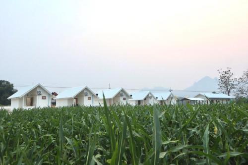 Chae Hom House | Tiny house homestay T3-5 not avaliable