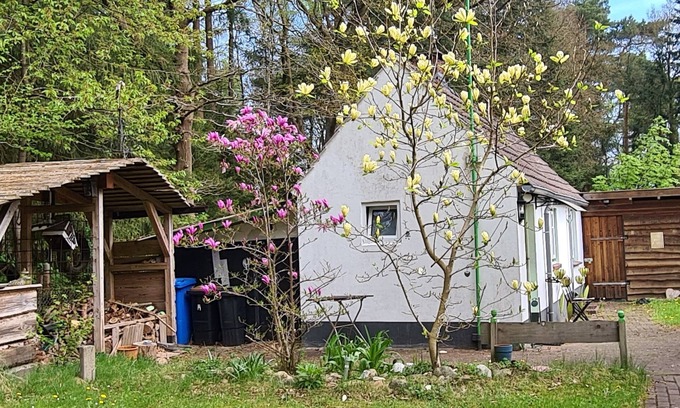 Am Dobrock House | Tiny house in the Wingster Forest, near Nordesse, peace & relaxation in nature