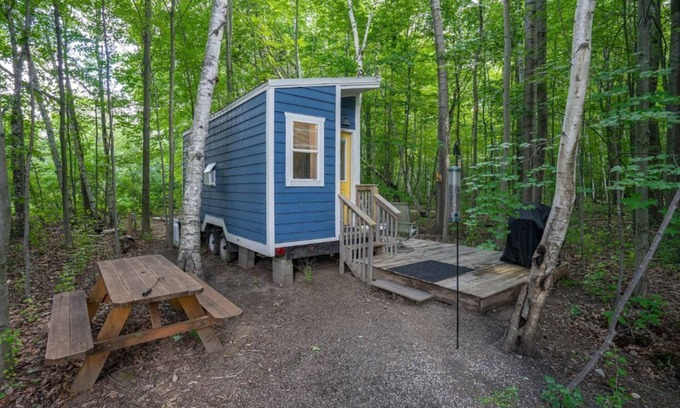 Lapeer House | Cozy Tiny House Retreat with Hot Tub in the Woods