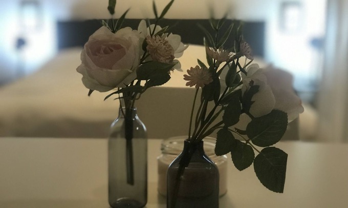 Radeberger Vorstadt Apartment | Cozy Tiny Spring Apartment with Kitchen and Breakfast Included