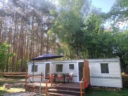 Cottbus Other | Tinyhaus idyllisch am Waldesrand