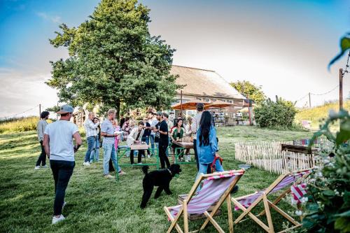 Zuid-Beijerland Hotel | Relax at TinyParks Cast Away: Pet-Friendly Retreat with Spa