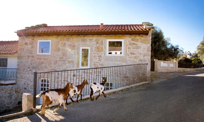 Arcos de Valdevez Villa | Relax at Tio Zé - Casas de Selim with Oceanfront Pool
